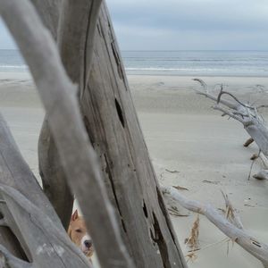 Meet your Posher, Vicki